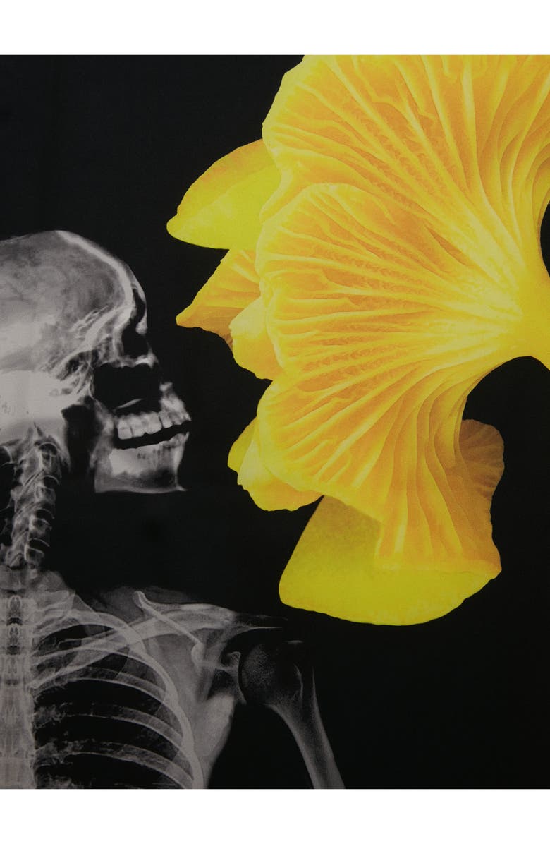 McQueen Mushroom Skeleton Silk Scarf, Alternate, color,