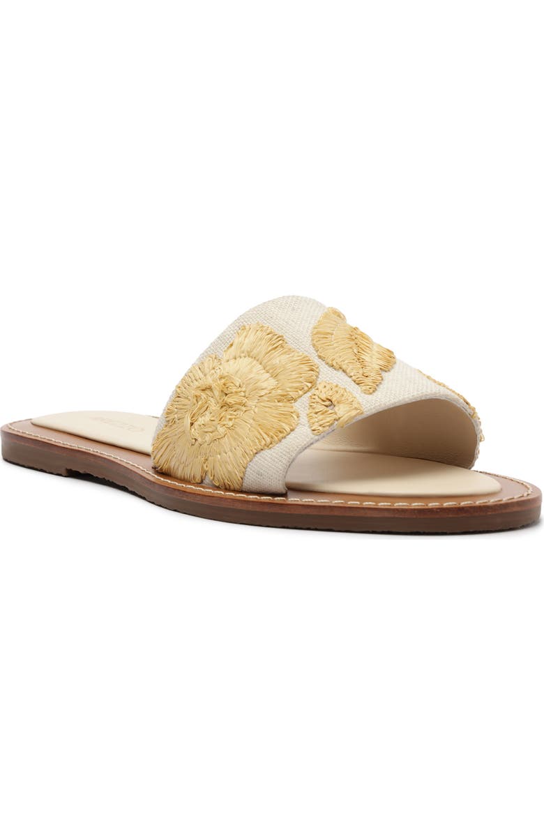 Arezzo Dana Slide Sandal, Main, color, Panacota