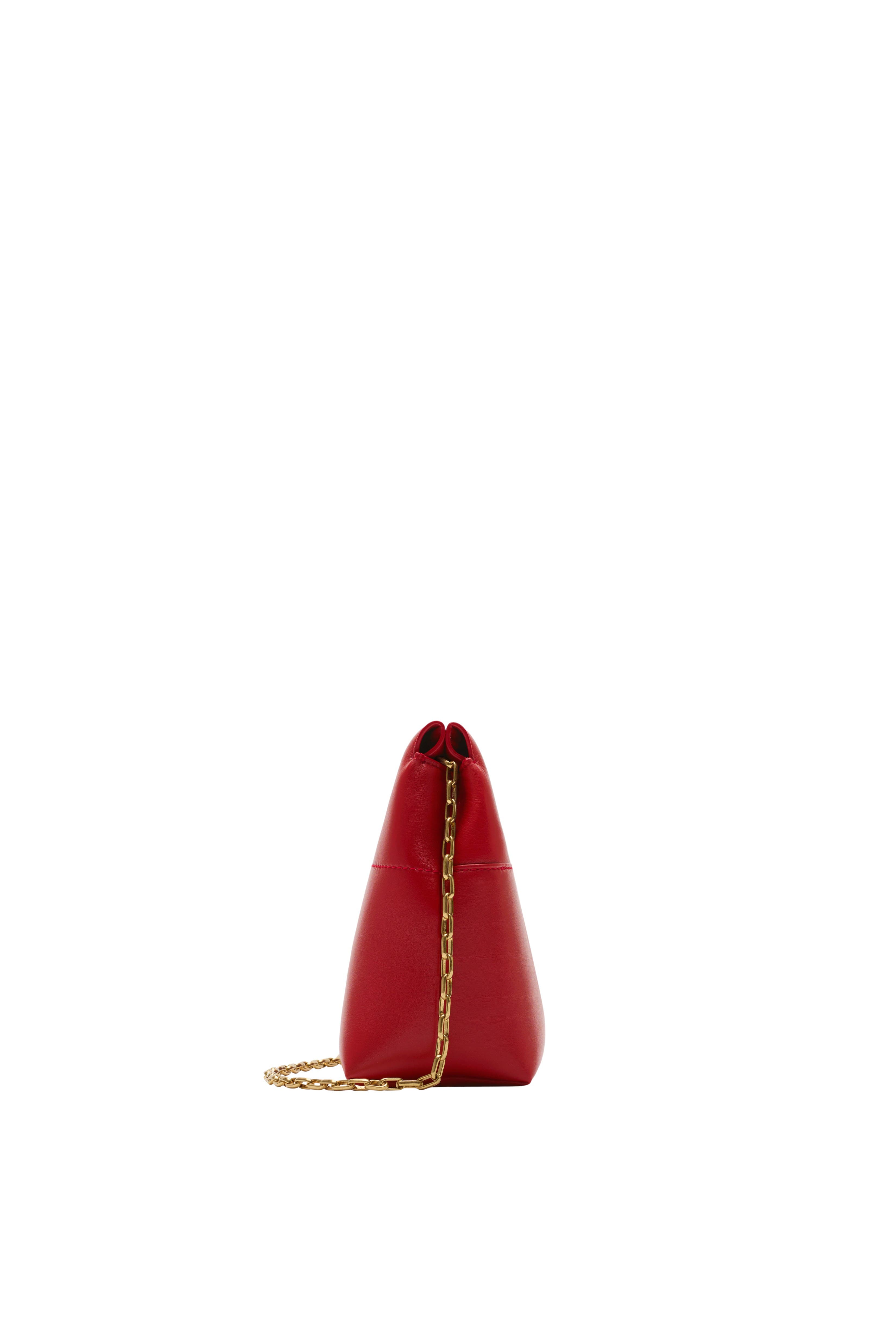 Burberry Snip Clutch, Alternate, color, 