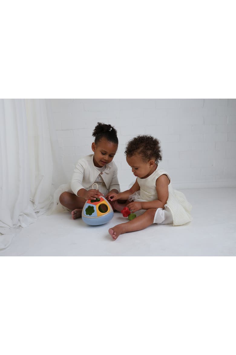 Bio Shape Sorter, Alternate, color, Multi