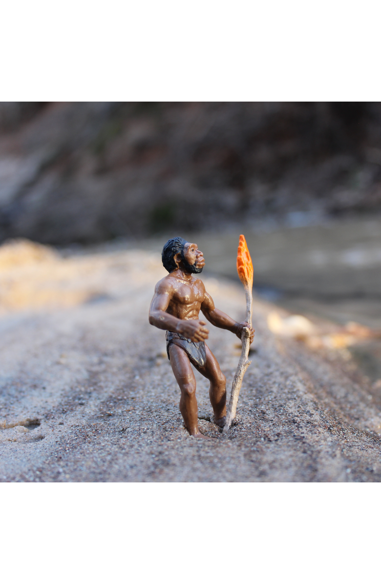 Safari Ltd. Evolution Of Man, Alternate, color, NO COLOR