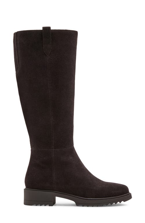 Blondo Colorado Waterproof Knee High Riding Boot In Animal Print