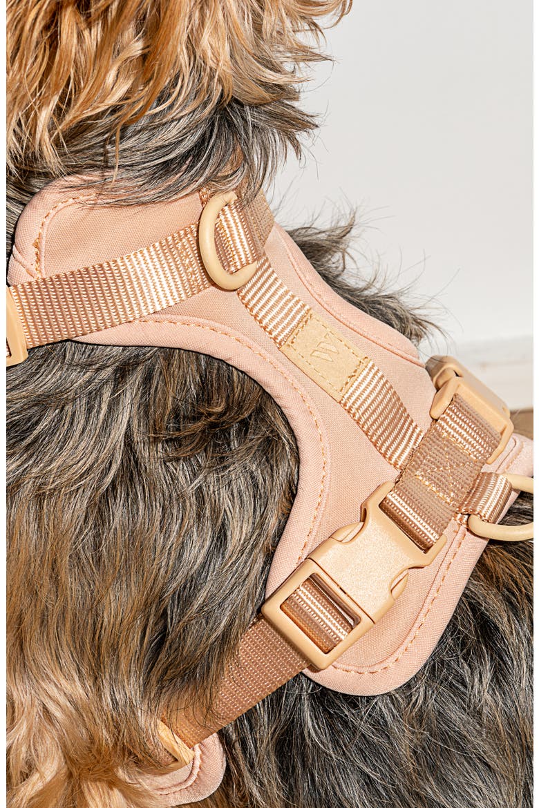 Dog Harness, Alternate, color, TAN