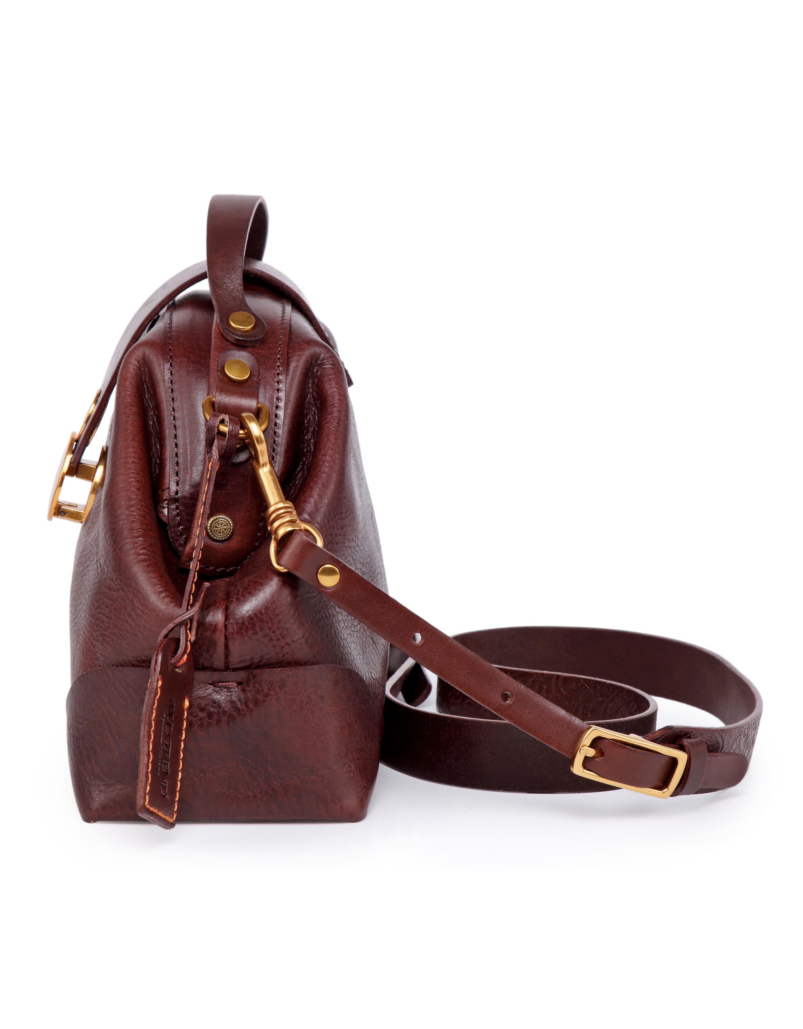 Romani Genuine Leather Compact Doctor Crossbody Bag, Alternate, color, Brown