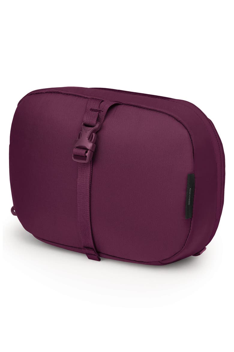 Ozone Toiletry Kit, Alternate, color, MOODY BURGUNDY