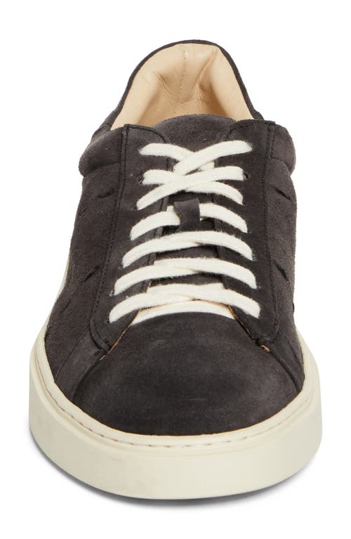 Eleventy Low Top Sneaker In Black
