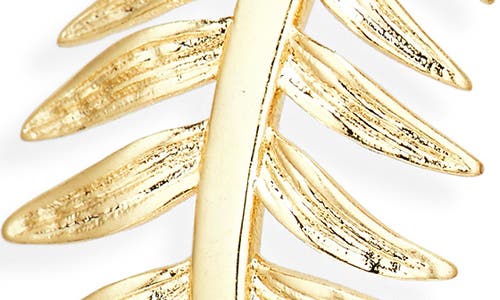 Kendra Scott Kayla Botanical Hoop Earrings