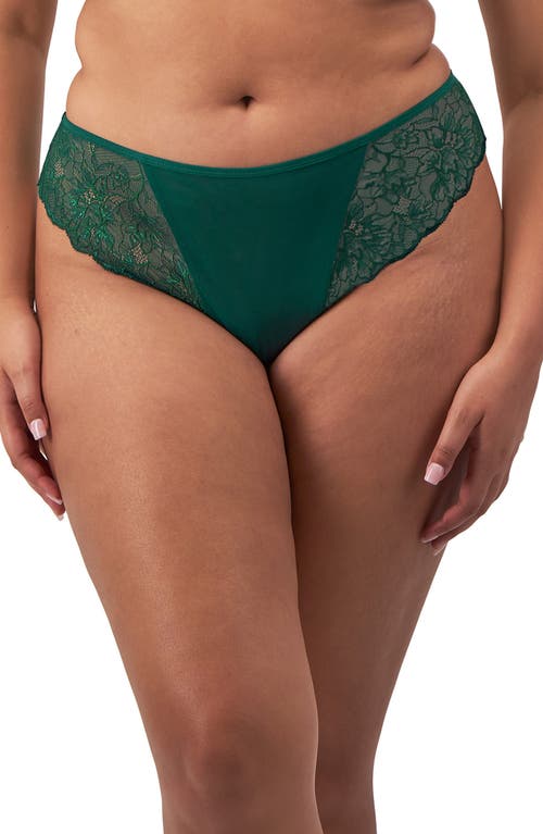 Elomi Brianna Lace & Mesh Thong in Rainforest 