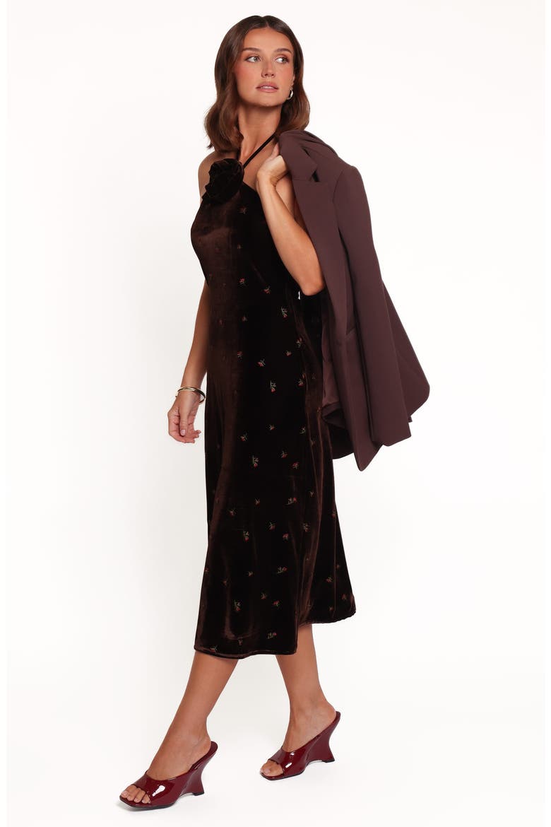 Enrique Halter Neck Velvet Midi Dress, Alternate, color, BROWN FLORAL