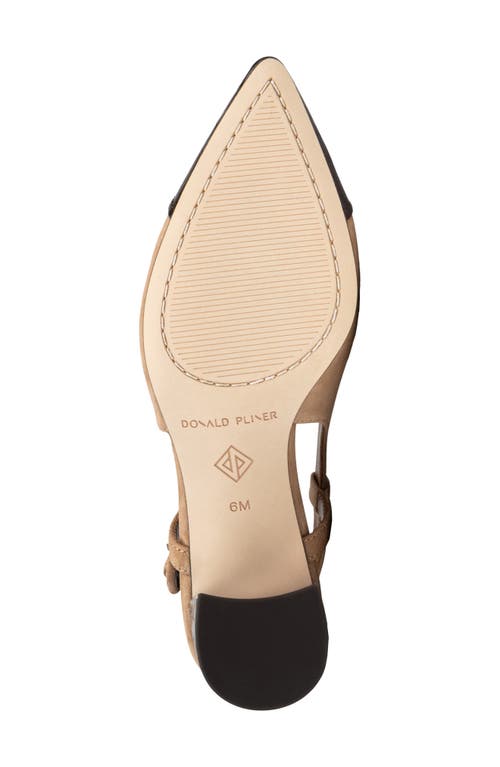 Donald Pliner Song Slingback Pointed Toe Pump In Brown