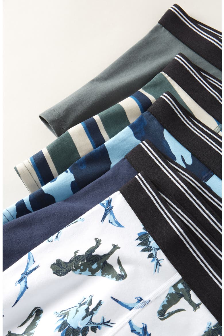 Kids' Assorted 5-Pack Boxer Briefs, Alternate, color, DINO CAMO PACK