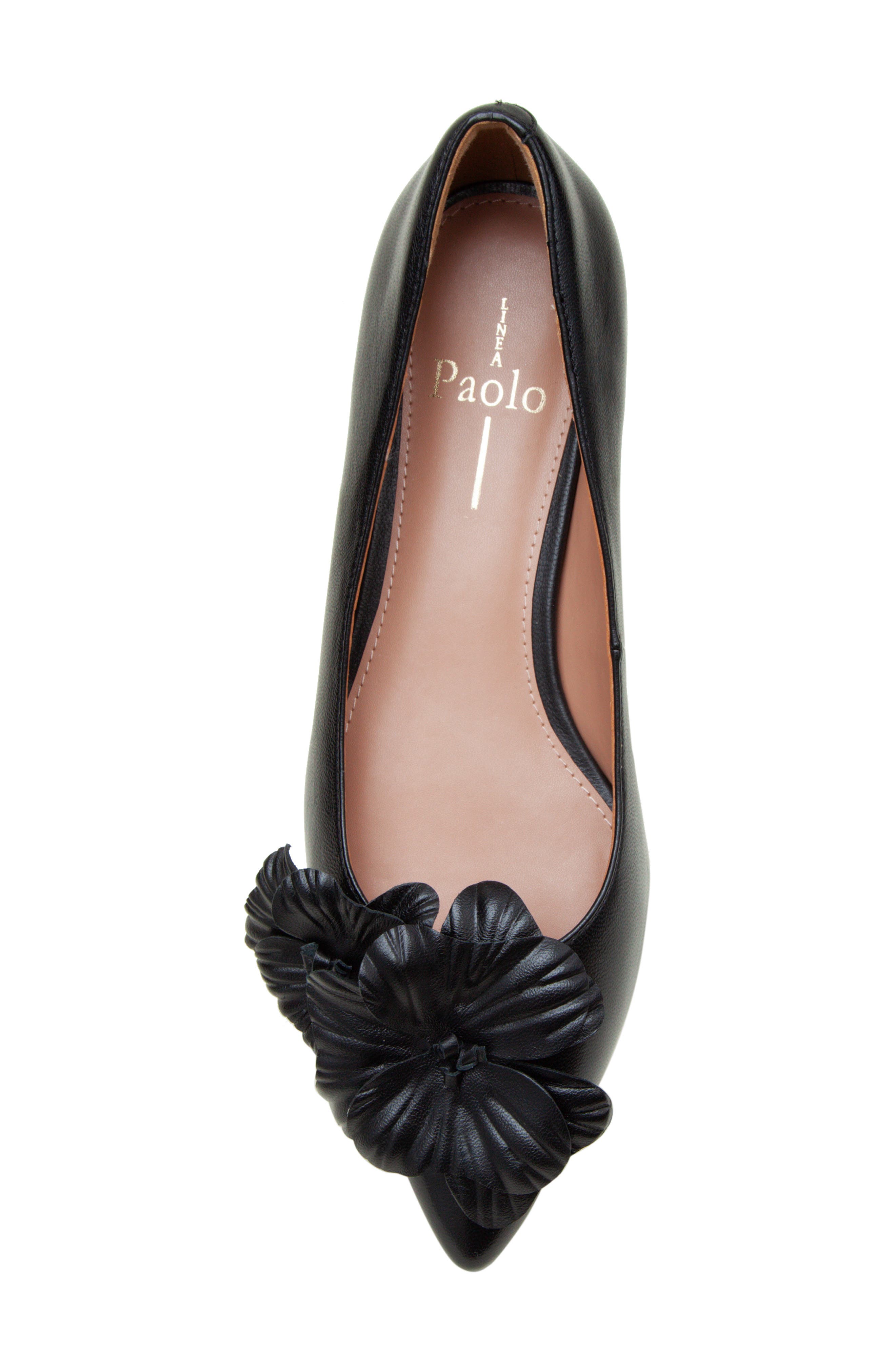 Linea Paolo Nerine Pointed Toe Flat, Alternate, color, Black
