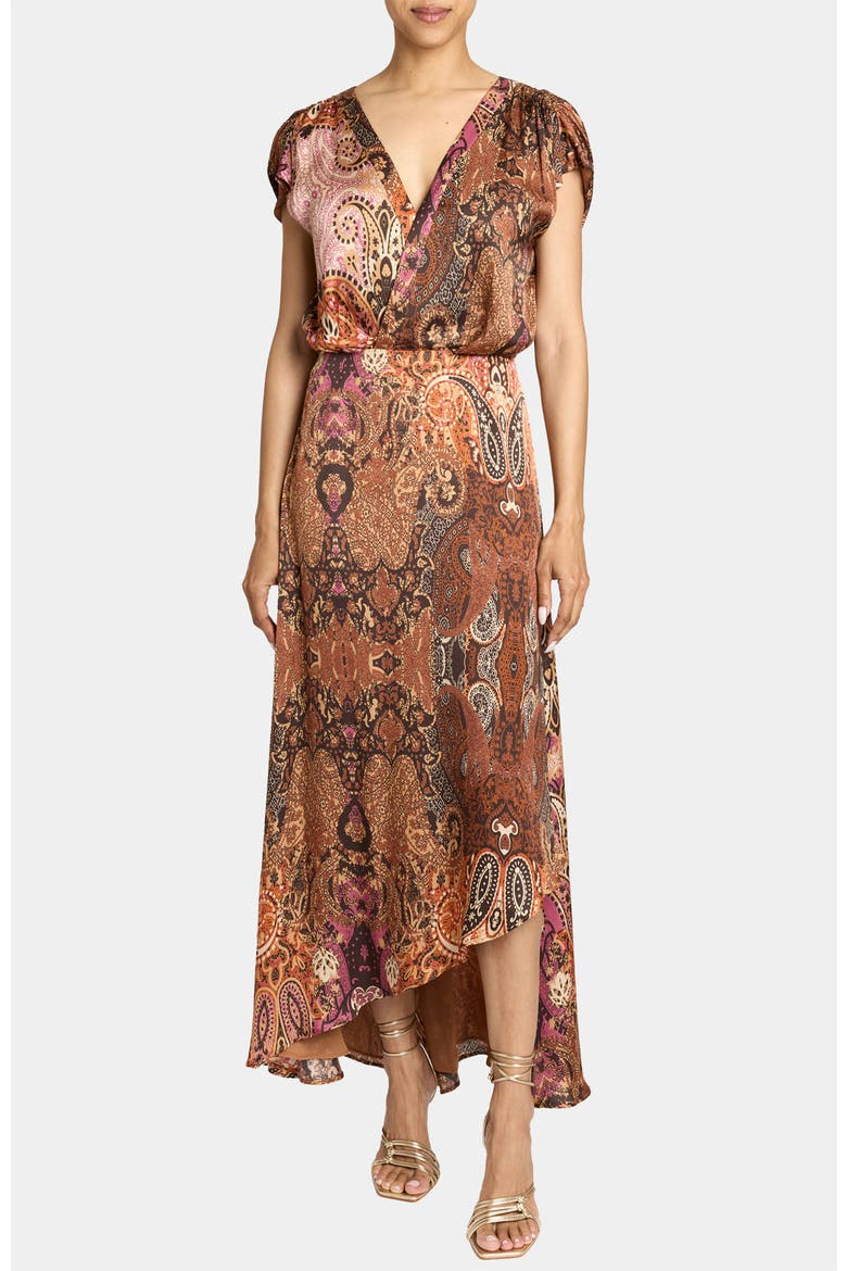 Fallon Midi Dress in Printed Charmeuse, Alternate, color, CHESTNUT MULTI