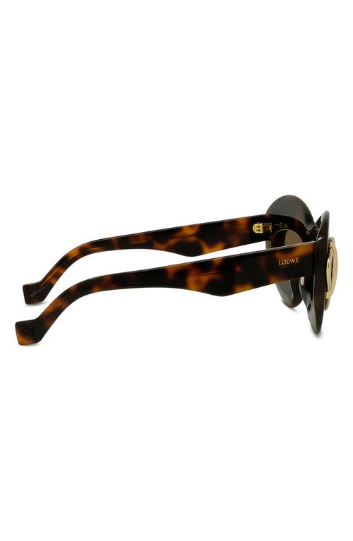 Loewe Double Frame 67mm Oversize Cat Eye Sunglasses In Brown