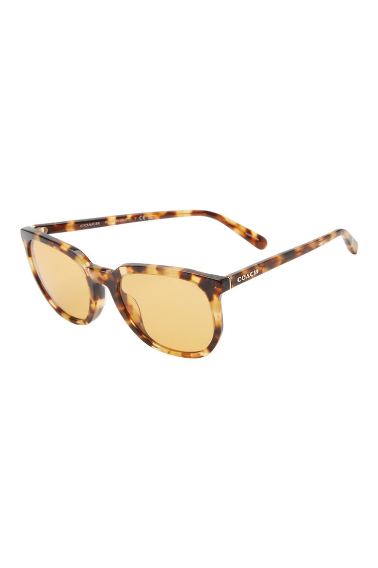 55mm Round Sunglasses, Alternate, color, HONEY HORN