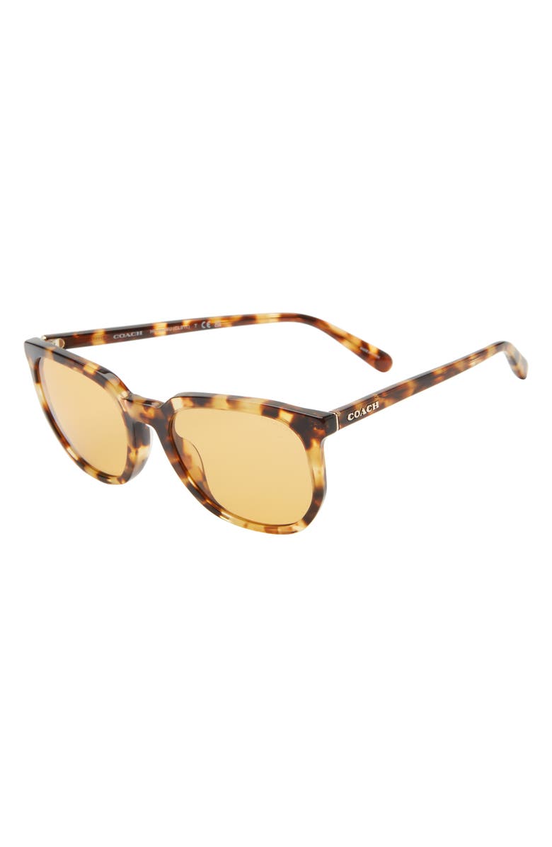 COACH 55mm Round Sunglasses, Alternate, color, Honey Horn