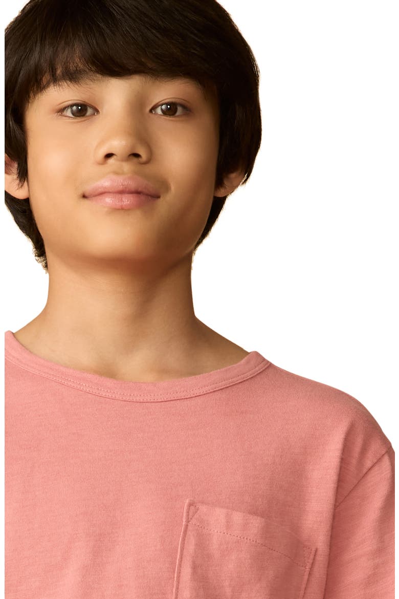 Kids' Sunwashed Organic Cotton Pocket Tee, Alternate, color, FADED FLAG
