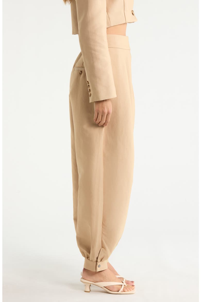Berner Twill Balloon Pants, Alternate, color, WHITE PEPPER