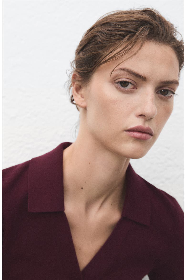 Rib Short Sleeve Polo Sweater, Alternate, color, WINE