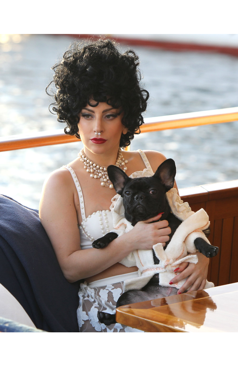 Moshiqa Principessa Dog Bathrobe, Alternate, color, Beige