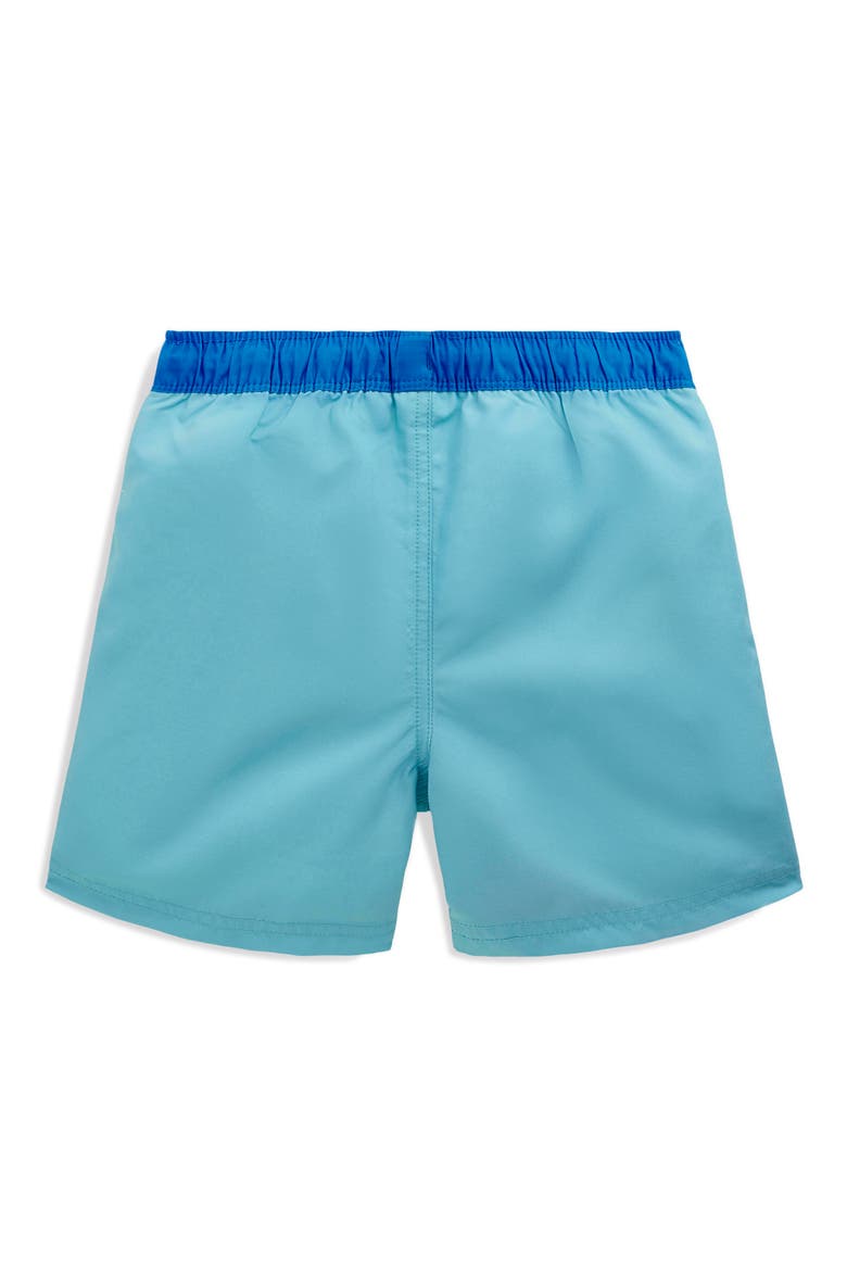 Kids' Print Swim Trunks, Alternate, color, CRAB