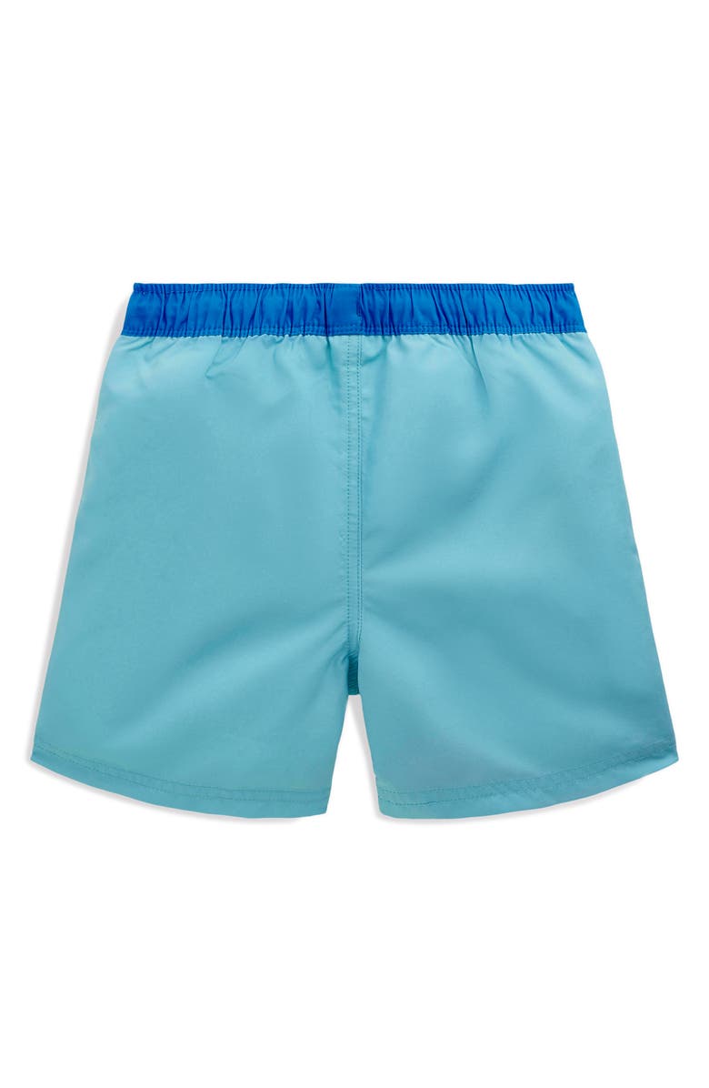 Mini Boden Kids' Print Swim Trunks, Alternate, color, 
