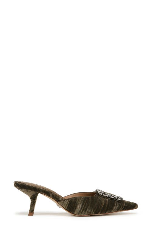 Sam Edelman Brit Glow Kitten Heel Mule Winter Moss Velvet