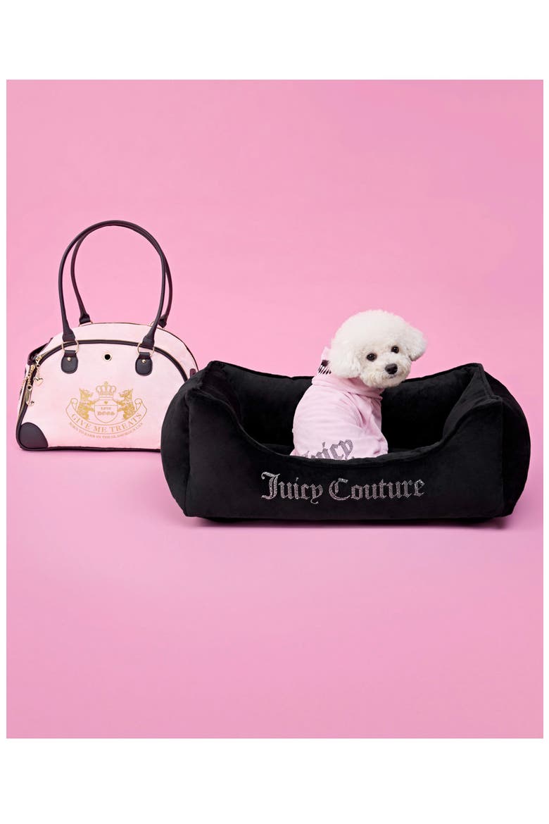 Velour Dog Tracksuit, Alternate, color, BLACK