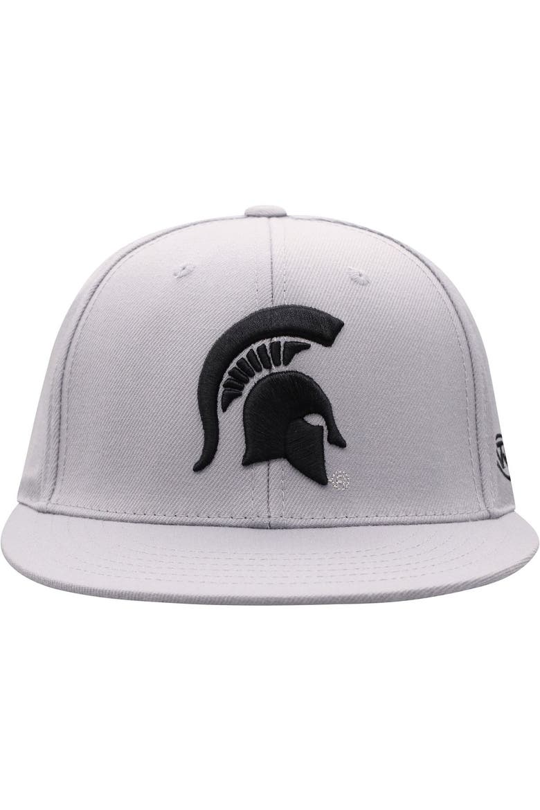 Men's Top of the World Gray Michigan State Spartans Fitted Hat, Alternate, color, Gray