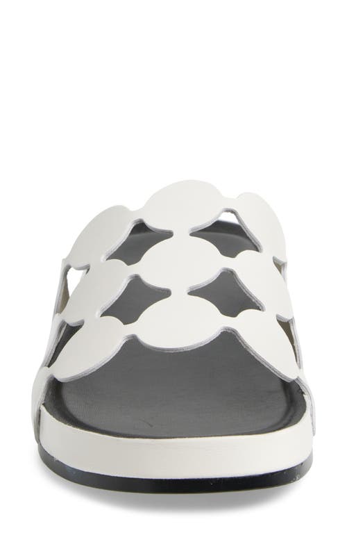 Cecelia New York Emily Slide Sandal In White/black