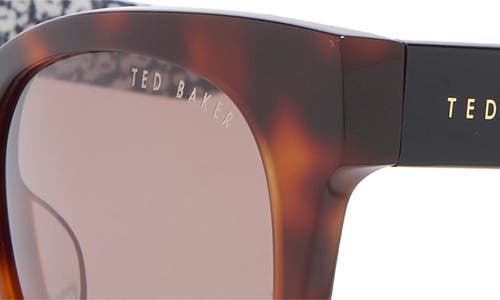 Ted Baker 50mm Round Sunglasses In Brown
