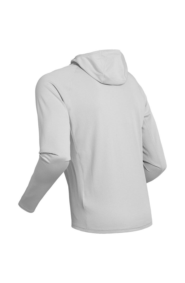 Bjorn Daehlie Run 365 Long-Sleeve Top - Men's, Alternate, color, Quiet Grey