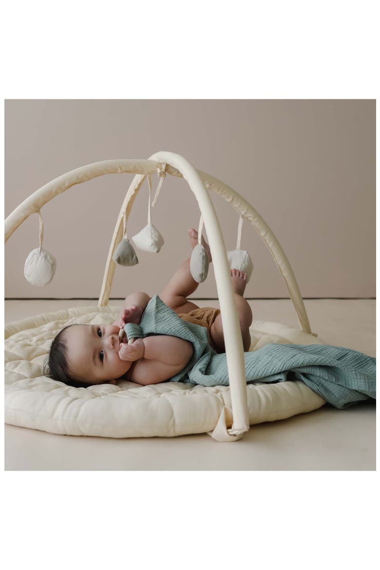 Play Gym, Alternate, color, MULTICOLOR