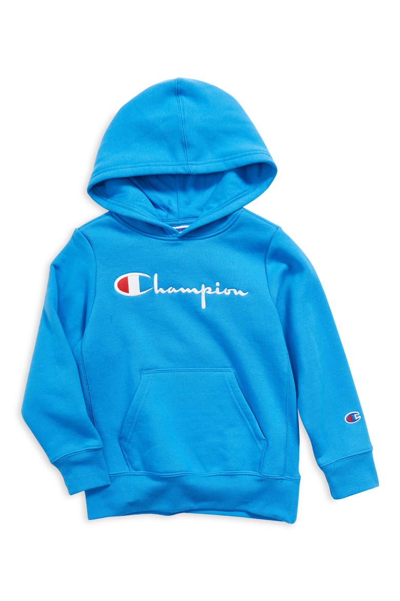 Kids' Embroidered Premium Fleece Hoodie, Main, color, BLUE JAY