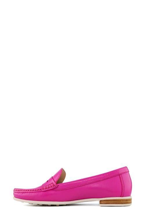 Marc Joseph New York Hamptons Penny Loafer In Multi