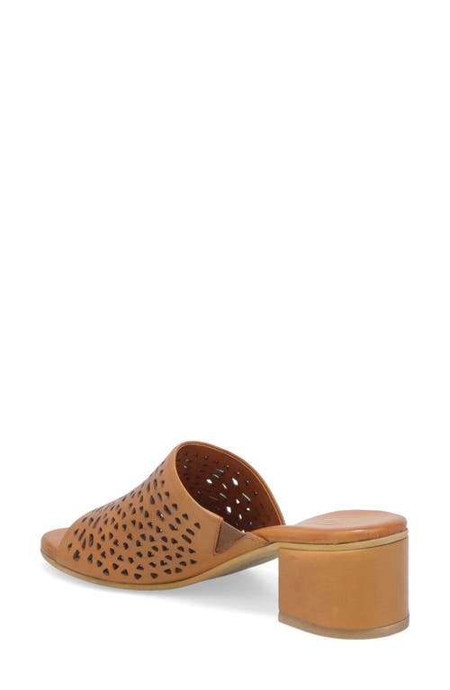 Miz Mooz Rylan Slide Sandal In Brandy