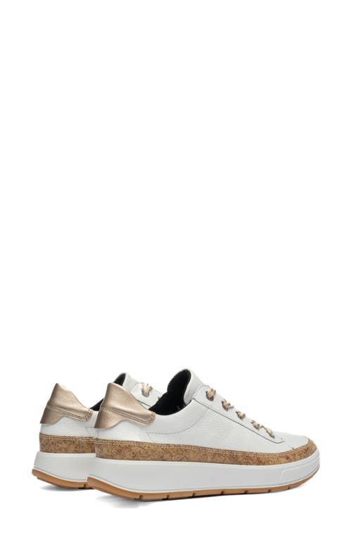 Ara Rem Sneaker In Multi