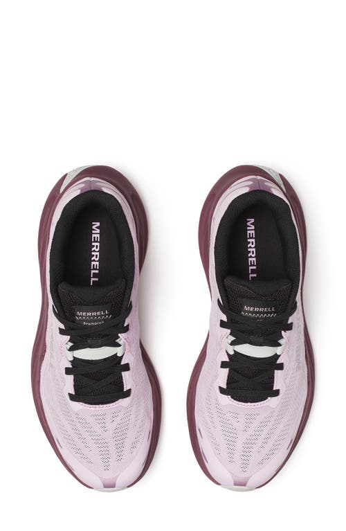 Merrell Promorph Trail Running Shoe In Multi