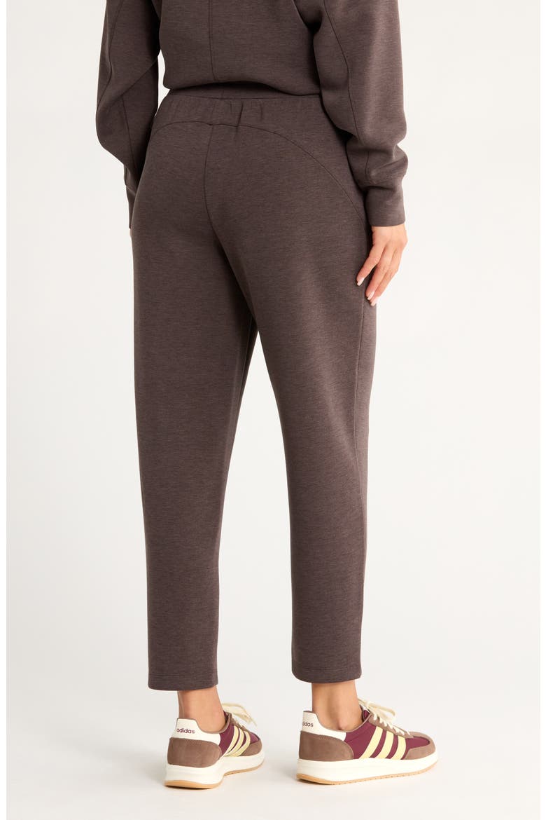 Soft Luxe High Waist Ankle Pants, Alternate, color, BROWN MOLE HEATHER