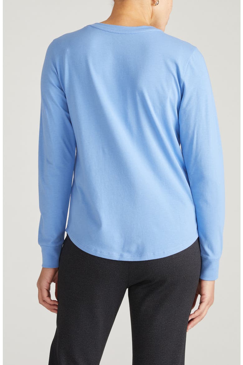Long Sleeve V-Rex Tee, Alternate, color, SEASIDE BLUE