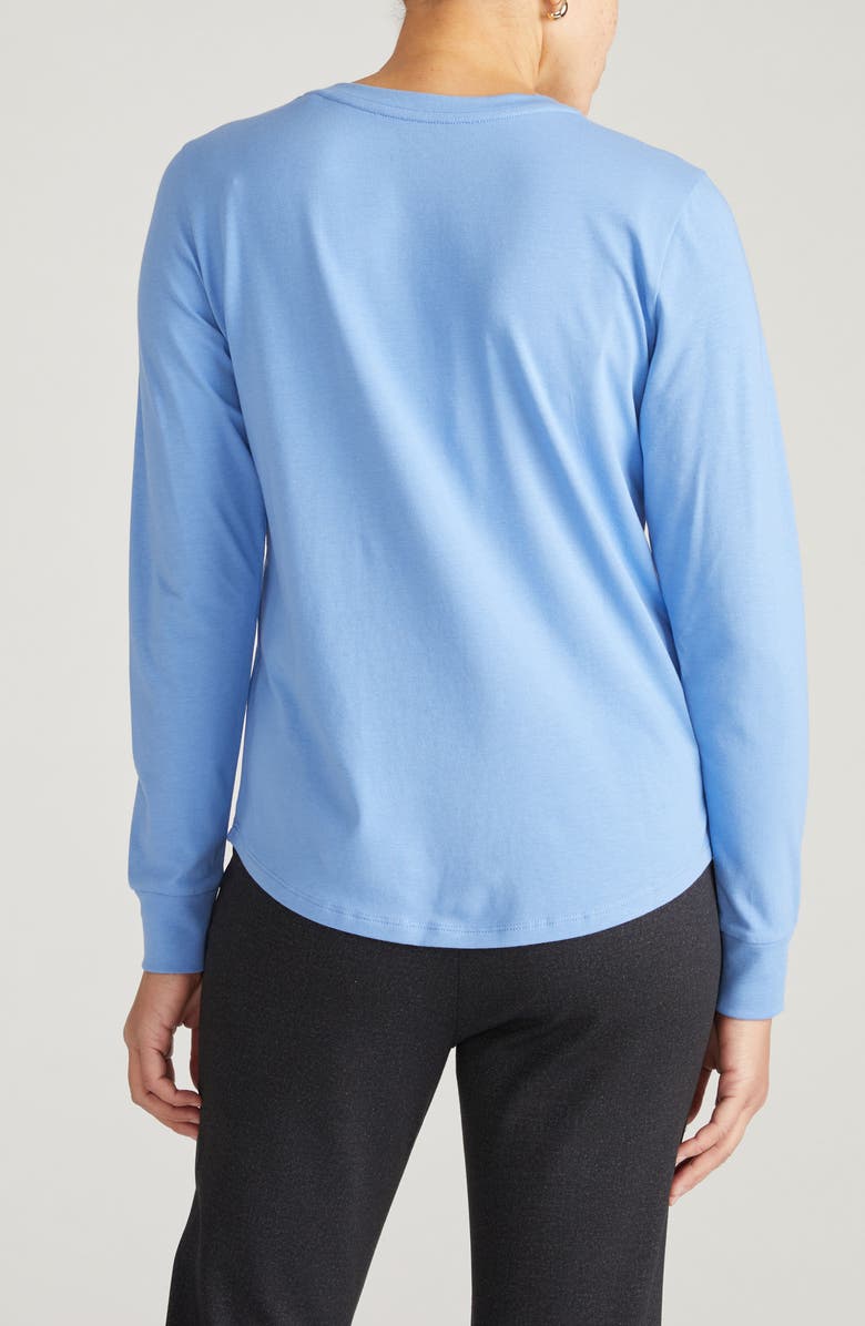 Universal Standard Long Sleeve V-Rex Tee, Alternate, color, Seaside Blue