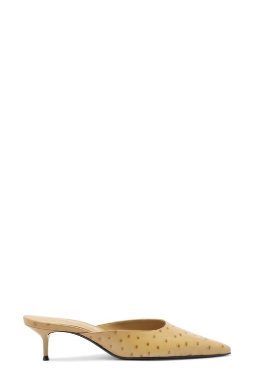 Schutz Julie Pointed Toe Mule In Neutral
