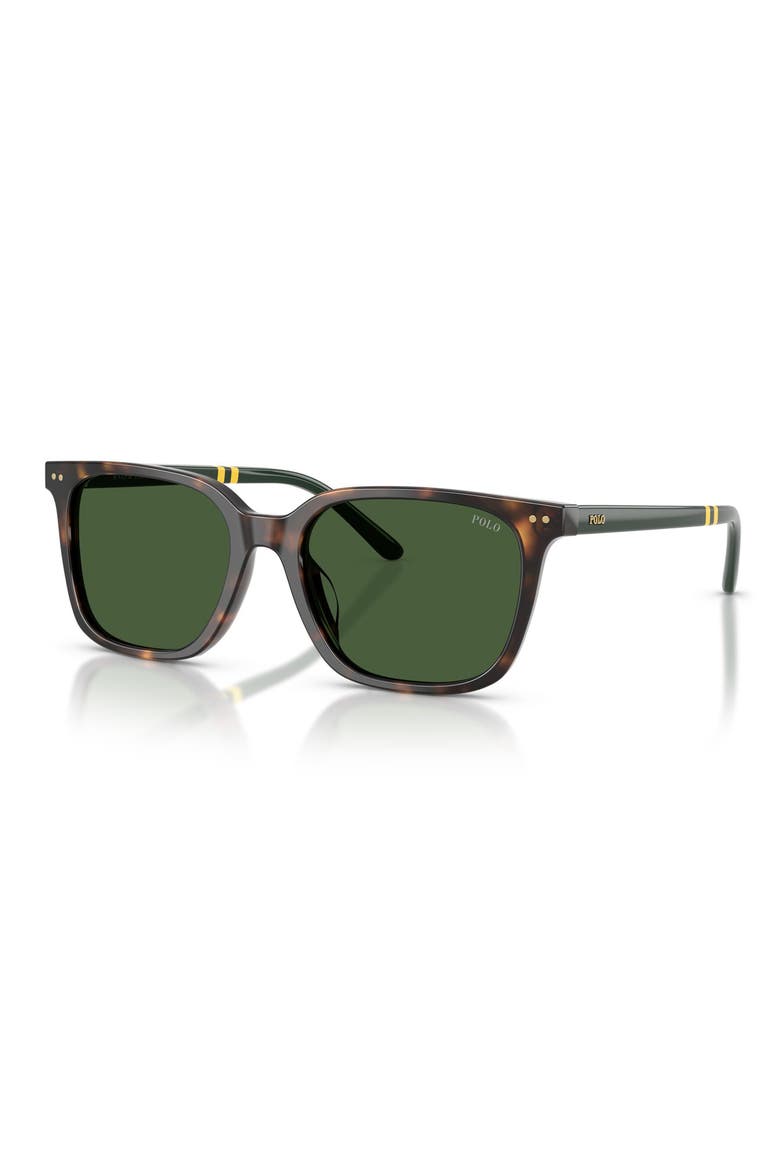 54mm Square Sunglasses, Alternate, color, SHINY DARK HAVANA / GREEN