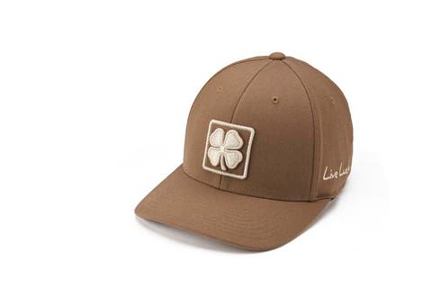 Boxed in Luck 3 Hat