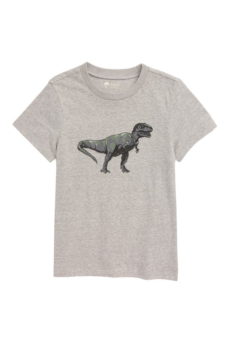 Kids' Graphic T-Shirt, Main, color, GREY ALLOY HEATHER TREX