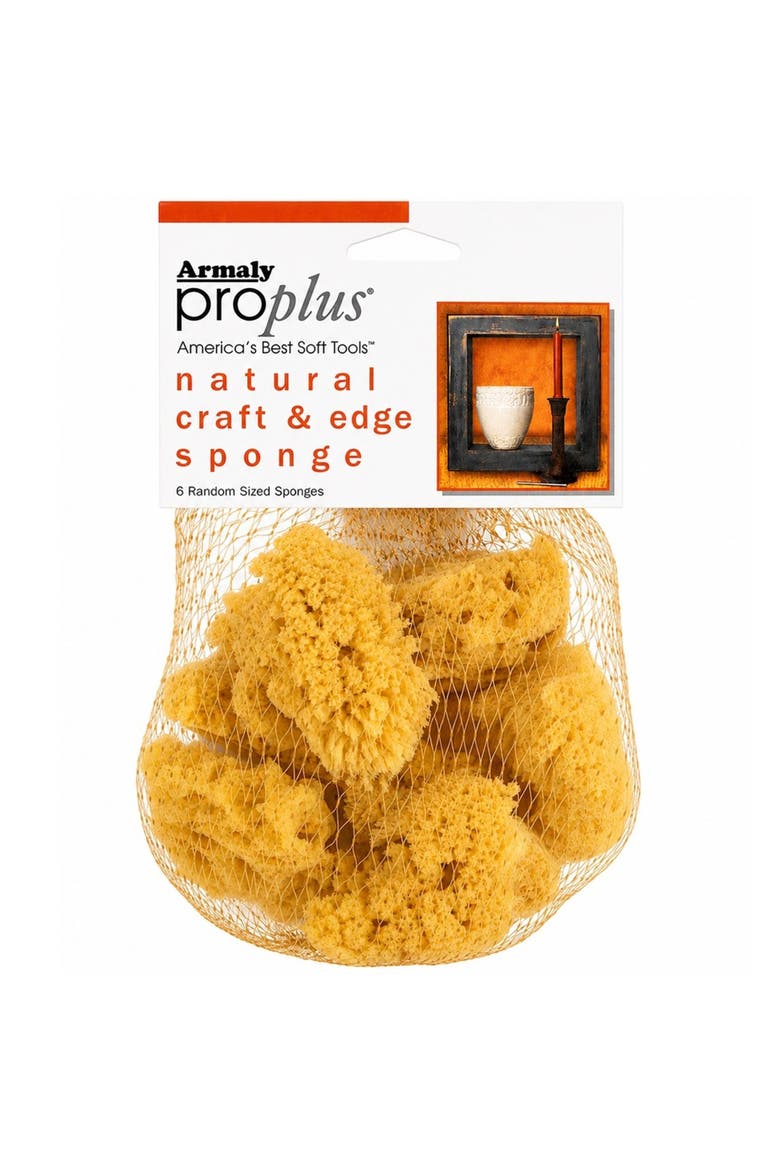 Natural Craft and Edge Sponges, Main, color, Multicolored