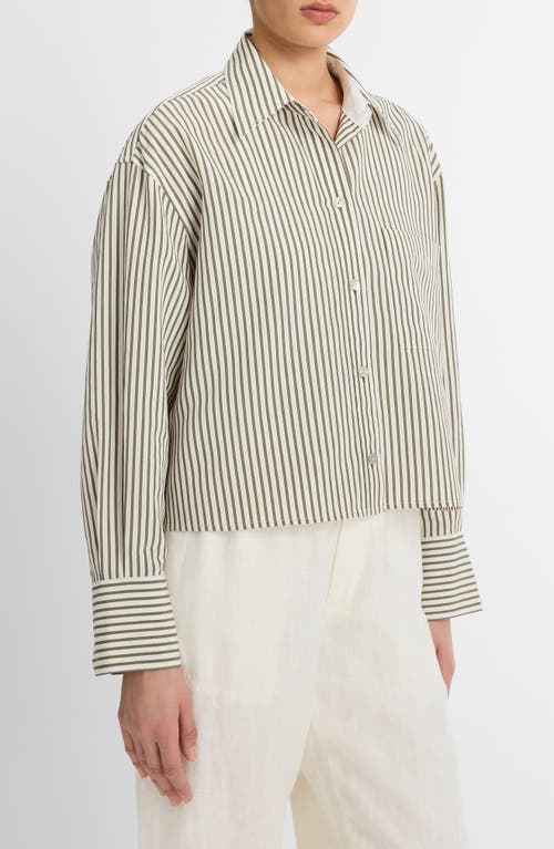 Shop Vince Till Stripe Crop Shirt In Herbaria/off White
