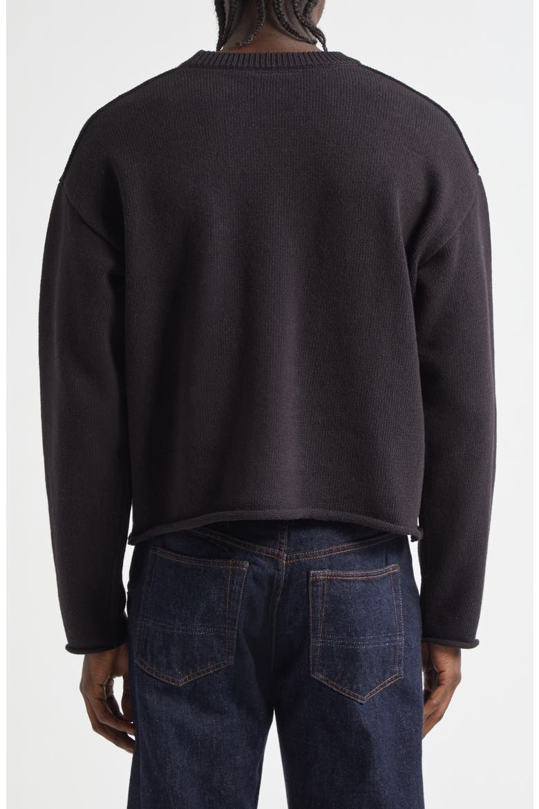 Dom Pocket Crop Sweater, Alternate, color, BLACK SOLID