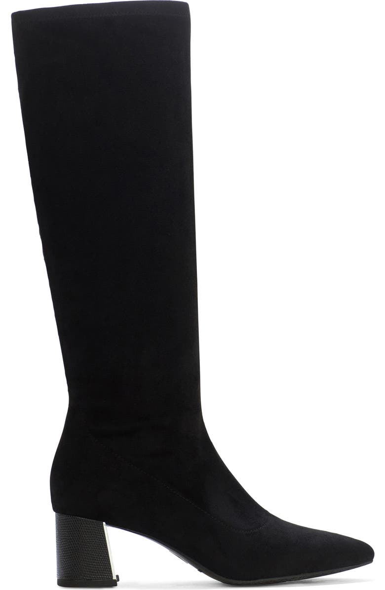 Donald Pliner Pointed Toe Knee High Boot, Alternate, color, Black