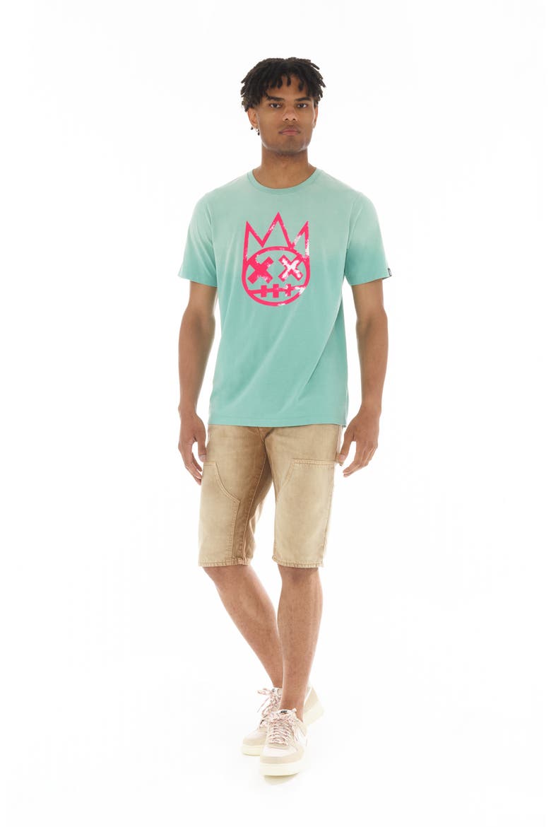 Shimuchan Flocked Logo Graphic T-Shirt, Alternate, color, VINTAGE MINT